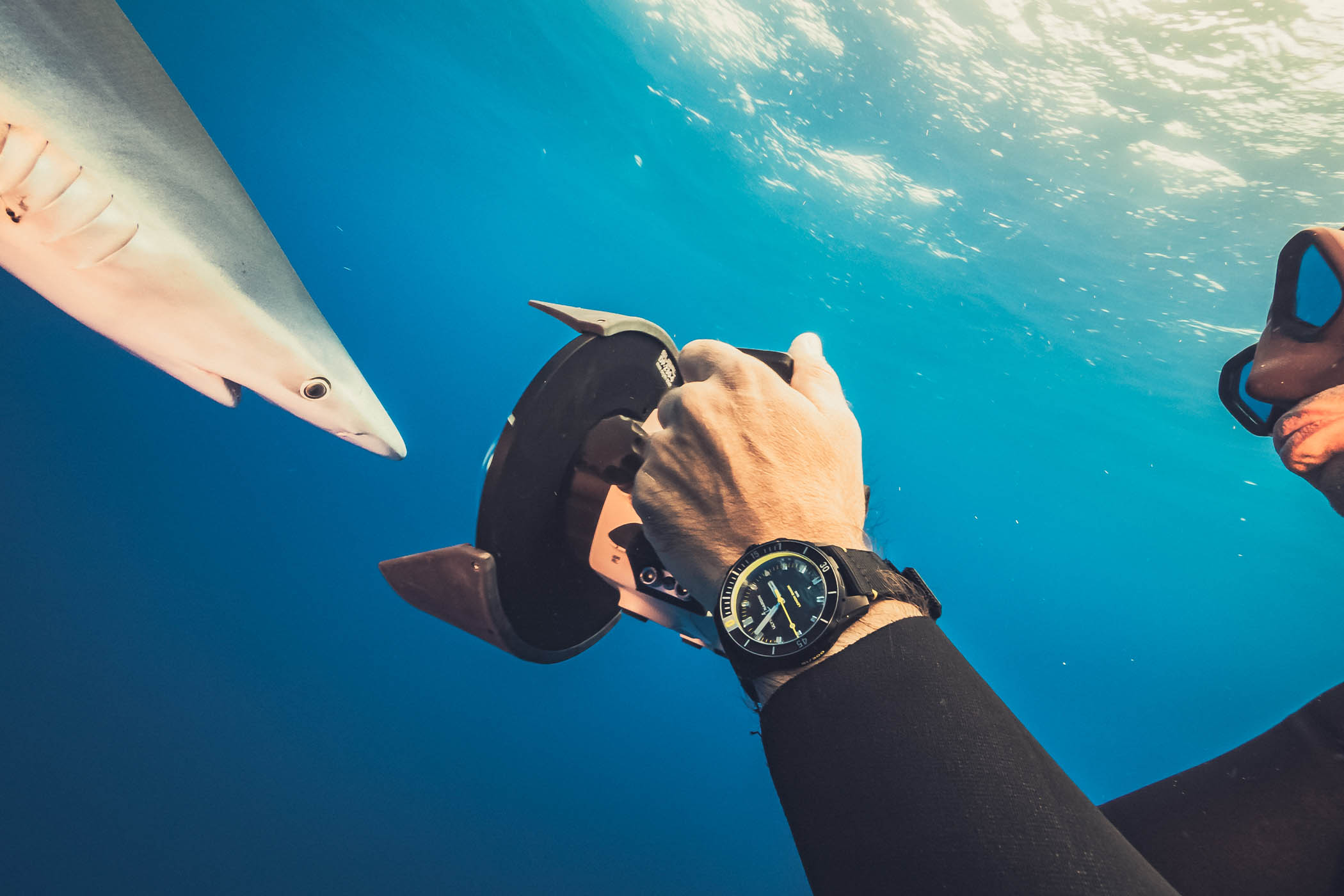 Лимитированная серия Ulysse Nardin Diver Lemon Shark