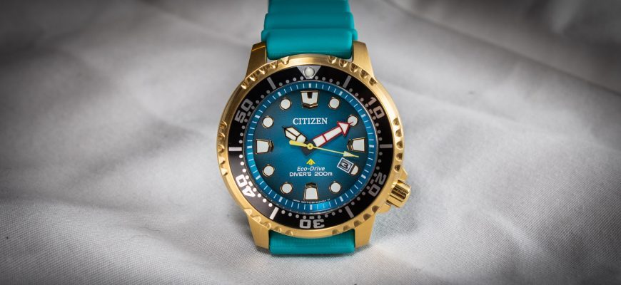 Наручные часы: Citizen Promaster Dive BN0162-02X Eco-Drive