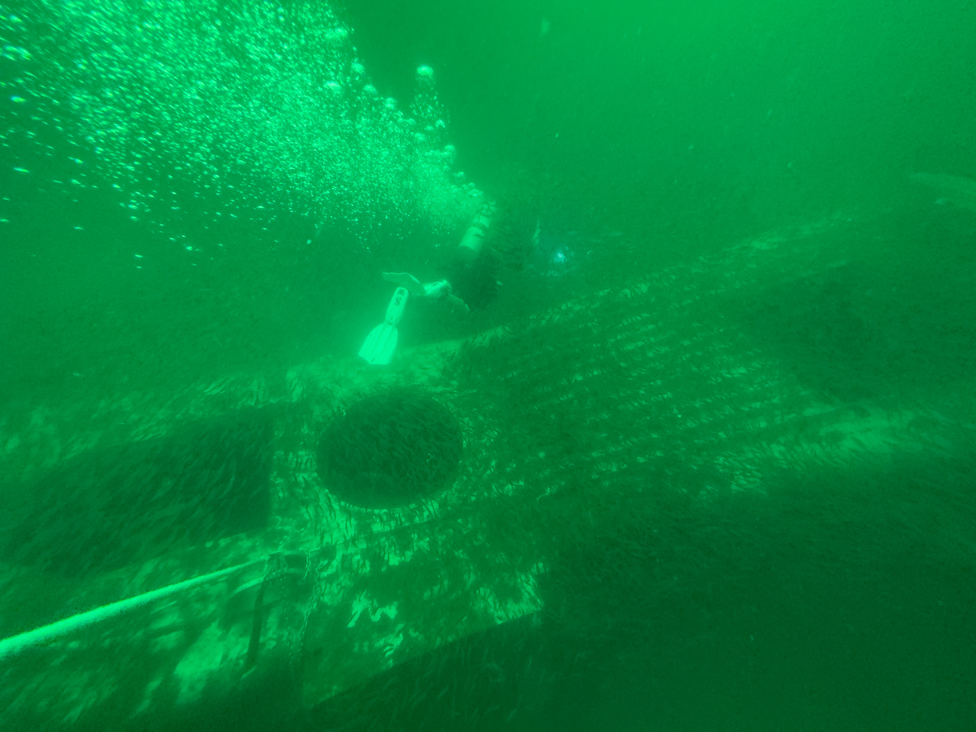 Погружение в величие: исследование подводных чудес c часами Tudor Pelagos FXD