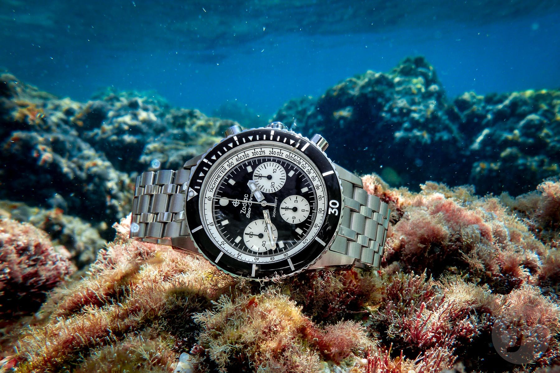 best watches of 2023 Zodiac Sea-Chron