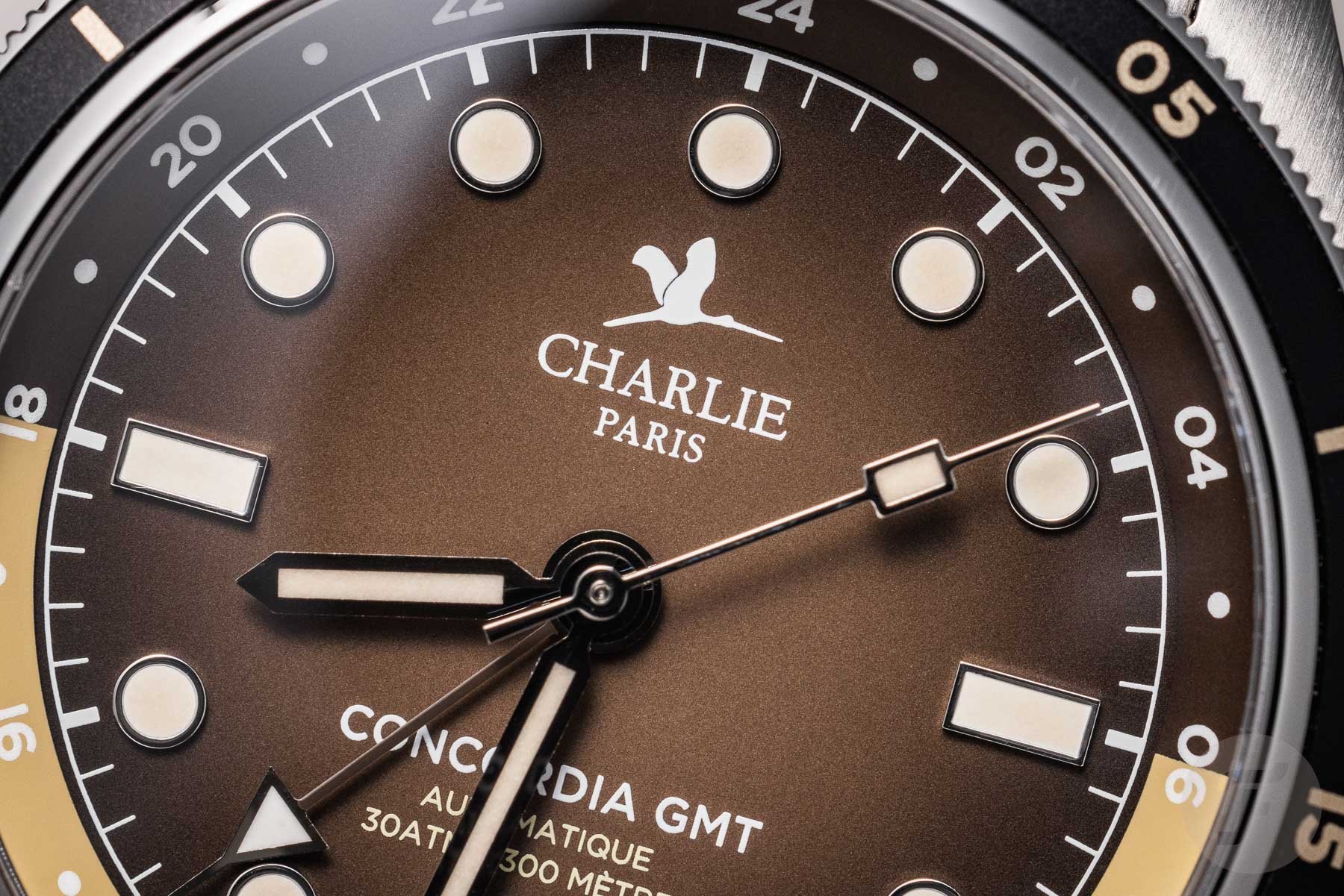 Charlie Paris Concordia GMT Dune dial close-up